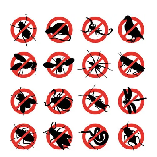 Principais Pragas Urbanas