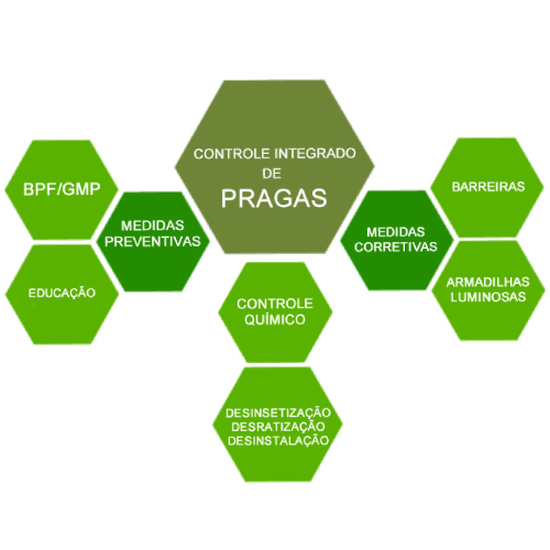 Danos Causados por Pragas Urbanas