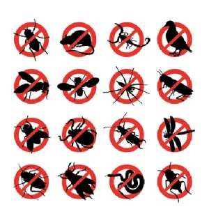 Principais Pragas Urbanas